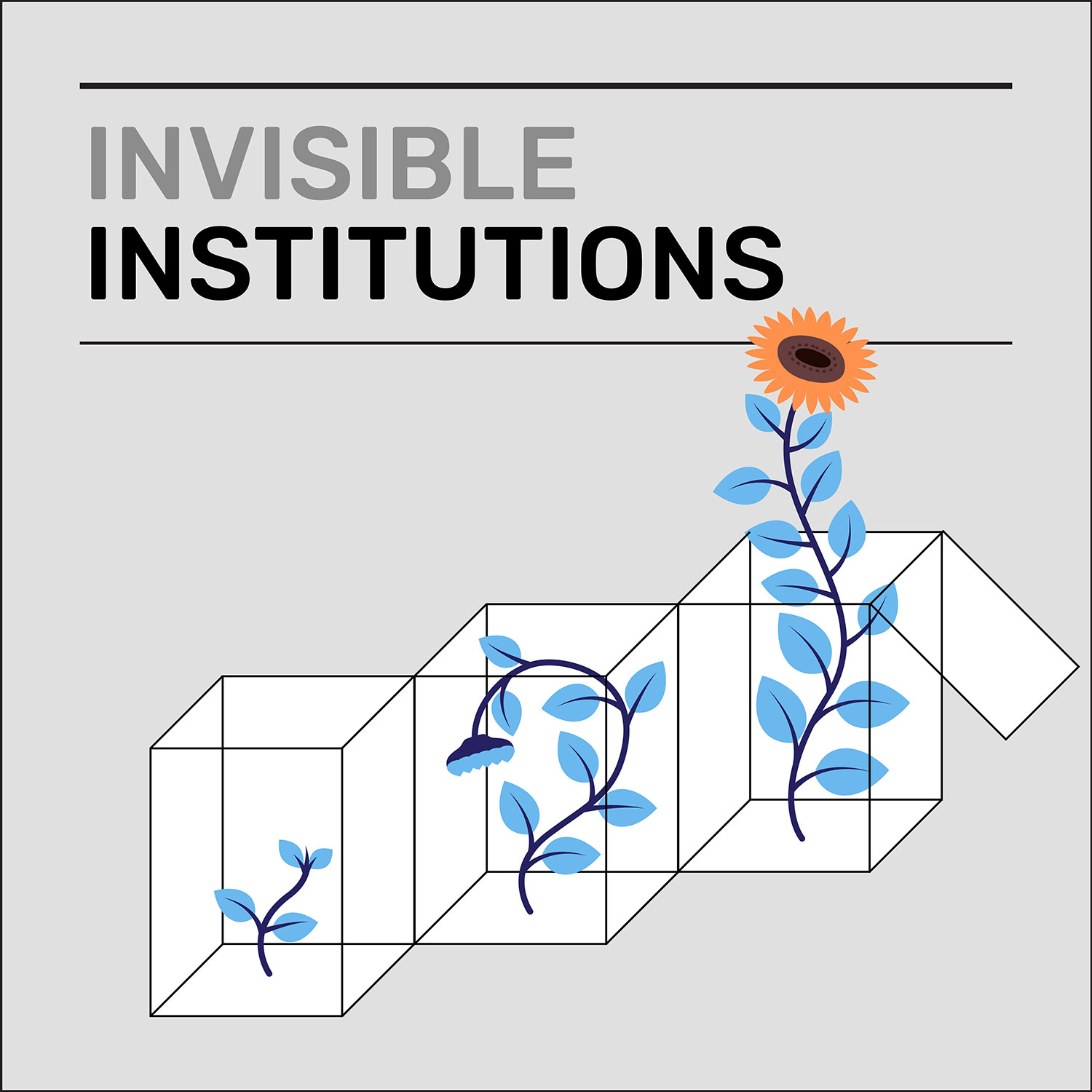 coverart_invisible-instutitions